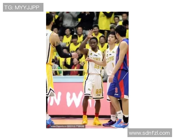 成都篮球队的崛起之路：揭秘他们背后的力量与荣耀